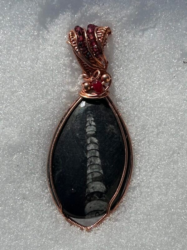Feb2_3 "The Ancients" - Fossil Ammolite & Garnet Pendant
