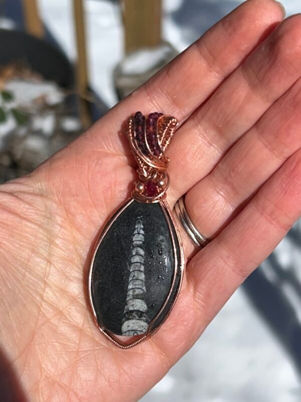 Feb2_5 "The Ancients" - Fossil Ammolite & Garnet Pendant