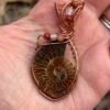 Photo Jan 14 2026, 5 03 26 PM "Sea Spiral" - Fossil Ammonite Pendant