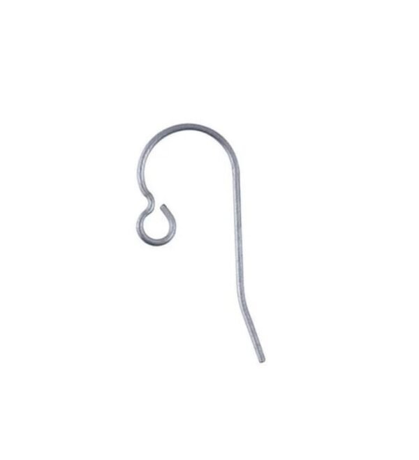screenshot-18 Titanium Earwires - One Pair