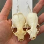 Skull Earrings